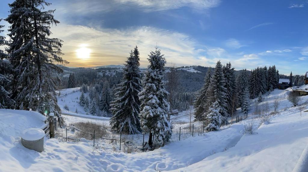 Panorama Karpat Hotell Jablunytsja Exteriör bild