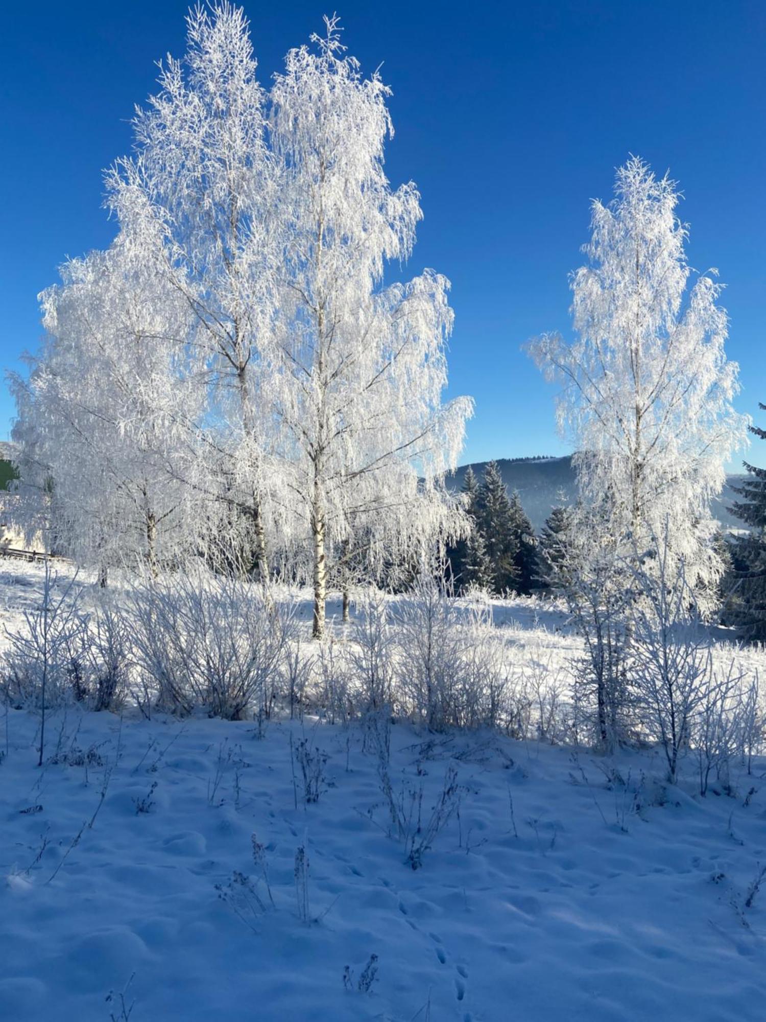 Panorama Karpat Hotell Jablunytsja Exteriör bild
