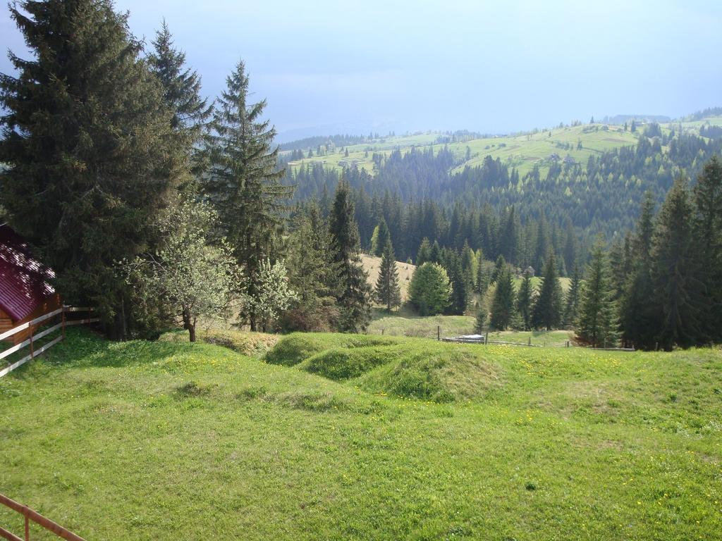 Panorama Karpat Hotell Jablunytsja Exteriör bild