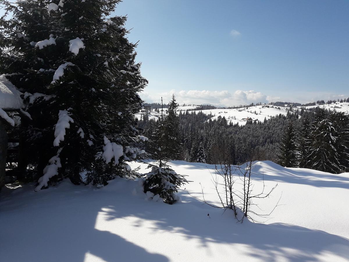 Panorama Karpat Hotell Jablunytsja Exteriör bild
